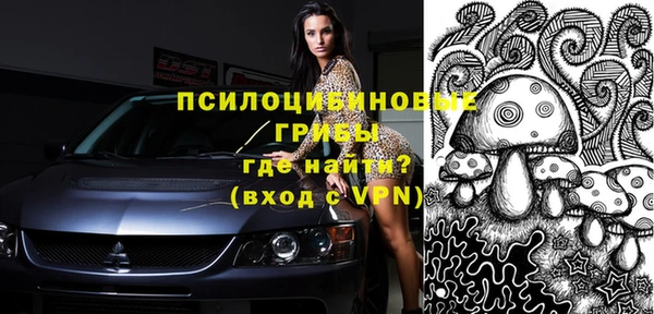 стафф Абаза