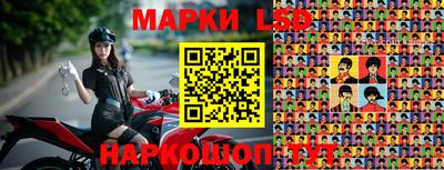 Альфа ПВП Аргун