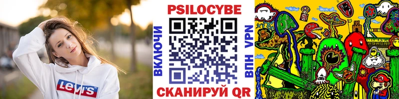 где можно купить Алатырь Галлюциногенные грибы прущие грибы