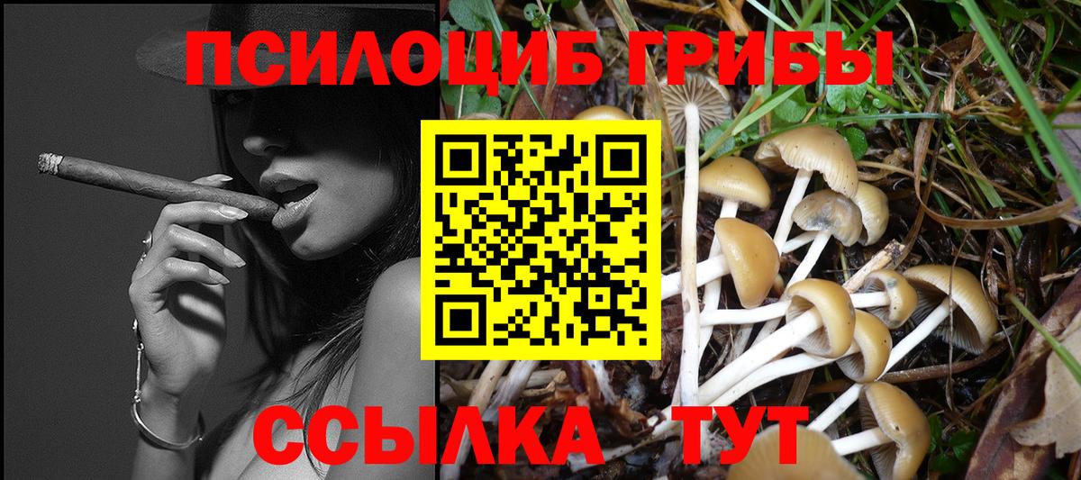 Псилоцибиновые грибы ЛСД Алатырь