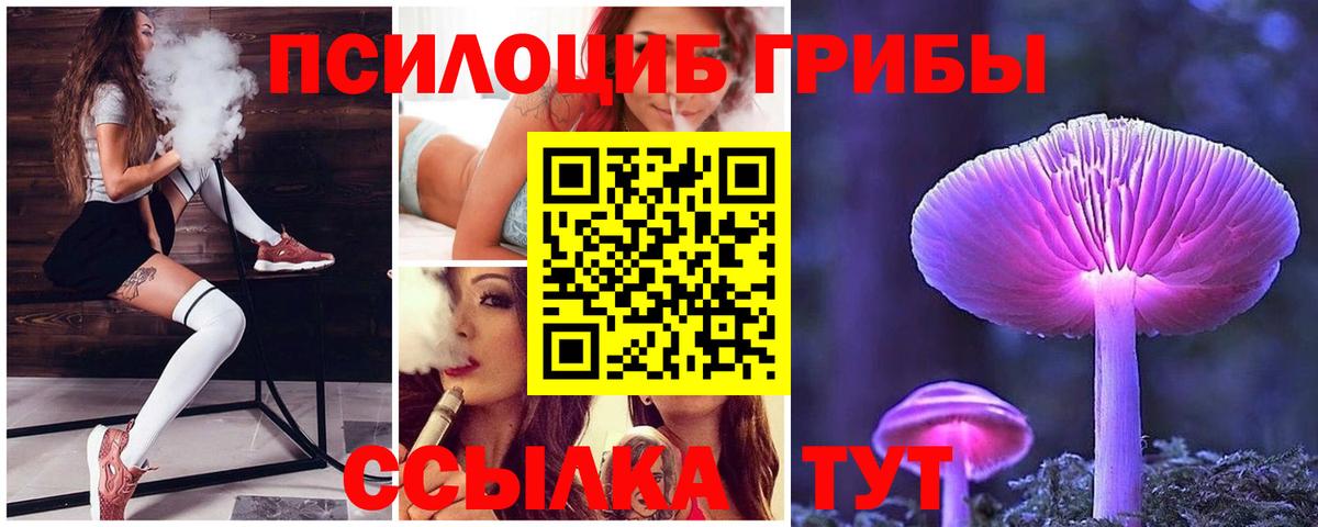 Алатырь  Галлюциногенные грибы Magic Shrooms  Вход с VPN 
